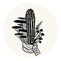 Branding Agency Sticker by Deus Marca