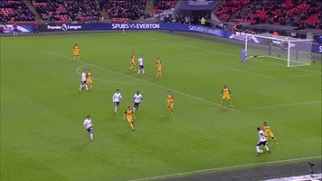 london football GIF by Tottenham Hotspur