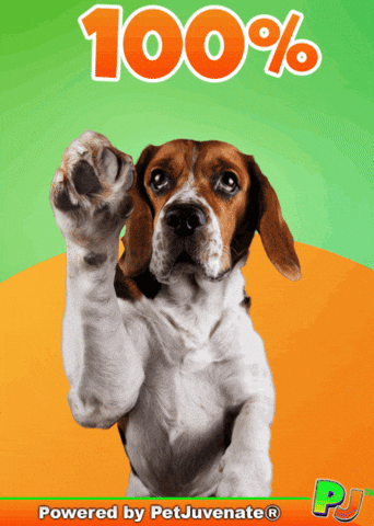 Taylor Agree GIF by PetJuvenate - PJ