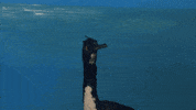 La Salle Art GIF by jorgemariozuleta