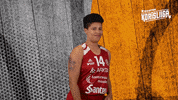 Sport Basketball GIF by Basket_fi