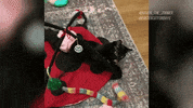 Football Playing GIF by Hallmark Channel