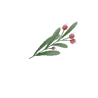 Christmas Flower Sticker