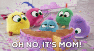 mothers day hatchling GIF by Angry Birds Movie