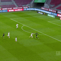 Save 1 Fc Cologne GIF by 1. FC Köln