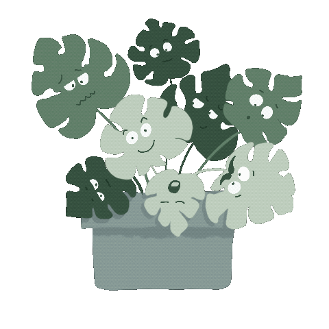 Sylvie_b giphyupload spring plant plants Sticker