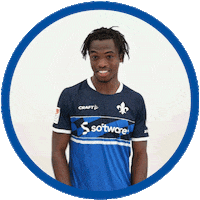 2 Bundesliga Football Sticker by SV Darmstadt 1898 e.V.
