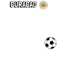 World Cup Football Sticker by Pudgy Penguins