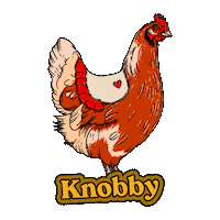 Chicken Boom Sticker by Knobby
