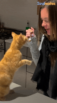 Cute GIF by The Dodo