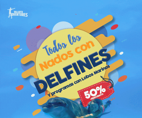 delfin GIF by Vallarta Adventures