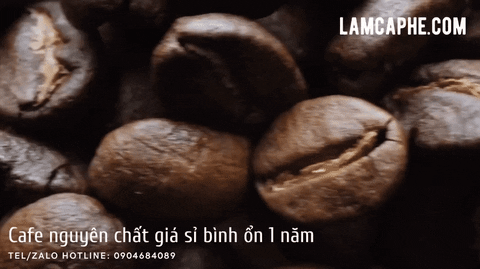 lmcph giphyupload caphehat capherangxay caphenguyenchatgiasi GIF