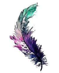 Boho Feather Sticker by Carla James Artist