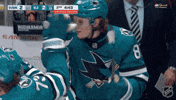 Happy San Jose GIF by NHL