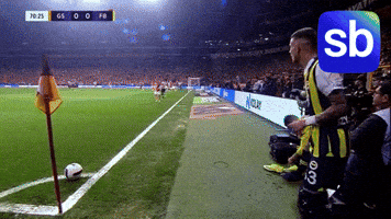 Football Futbol GIF by Sporbulteni