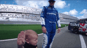 Kyle Larson Hello GIF by NASCAR