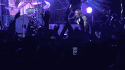 GIF by Parachute