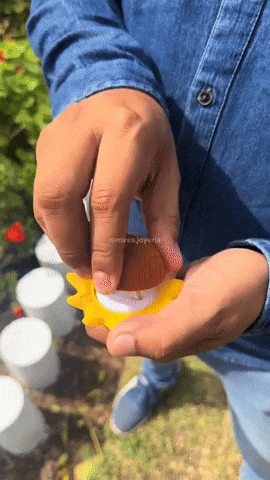 jrojasmo giphyupload GIF
