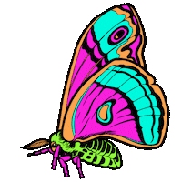 glow nocturnal wonderland Sticker by Insomniac Events