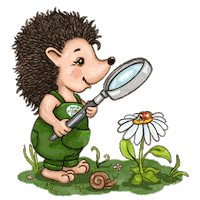 Garden Hedgehog Sticker by naturimgarten