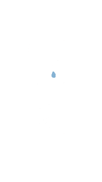 Noetnoet Sticker