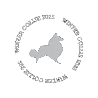 estilocollie collie estilocollie Sticker