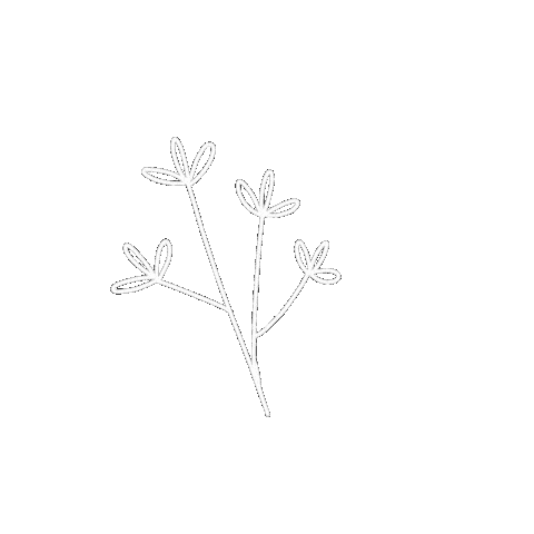 Flowers Leaves Sticker