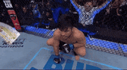 Mixed Martial Arts Sport GIF by UFC