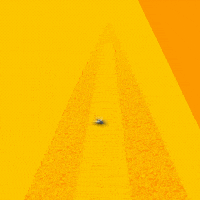 GIF by Assistance Proteção Veicular