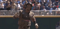 home run baseball GIF by NCAA Championships