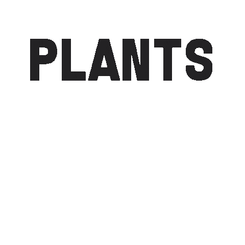Cbd Oil Plants Sticker by Dollar-a-Day CBD