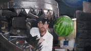 Shark Week Immersion GIF by Shark Week