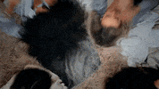 Sleep Over Get Weird GIF by Little Mix