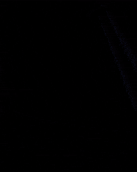 Goal Radost GIF by FC Slovan Liberec