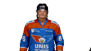 unisflyers goal eagles flyers nederland Sticker