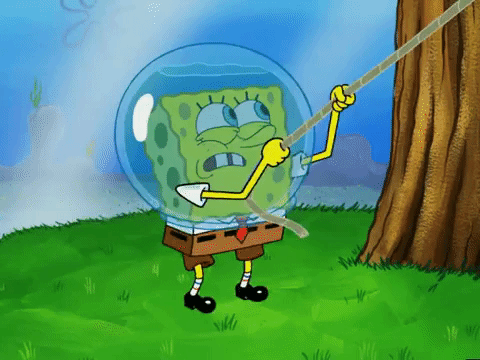 season 5 episode 10 GIF by SpongeBob SquarePants