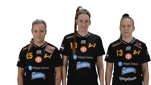 Floorball Salibandy Sticker by F-liiga