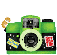 Film Camera Sticker by milkmartorlando