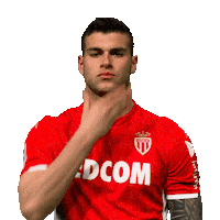 Ligue 1 Football Sticker by AS Monaco