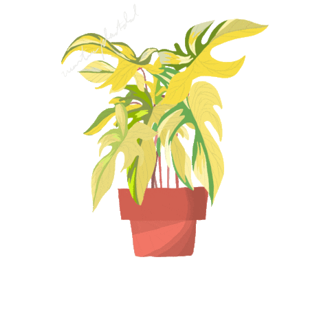Beauty Florida Sticker