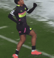 Ryan Flamingo GIF
