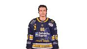 Zellamsee Ekz Sticker by EK Zeller Eisbären