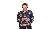 Zellamsee Ekz Sticker by EK Zeller Eisbären