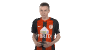 Wehen Wiesbaden Fifa Sticker by Bundesliga