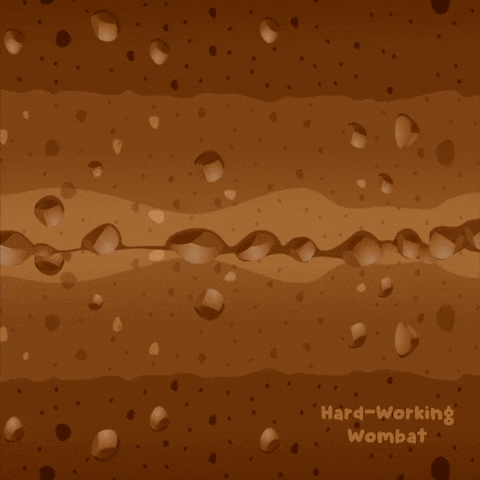 You Can Do It GIF by VeeFriends