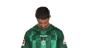 Look Up Werder Bremen Sticker by Bundesliga