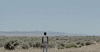 david oyelowo mon GIF