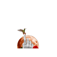 Dia Das Maes Mae E Filho Sticker by Orit