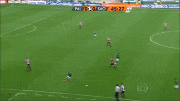 Sao Paulo Palestra GIF by SE Palmeiras
