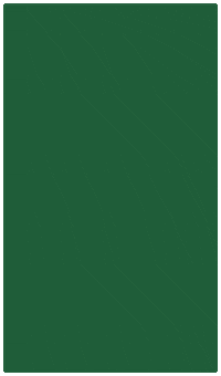 Logo Go GIF by Utah Valley University